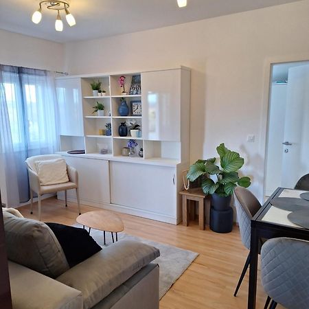 Apartment Dorina Buje Exteriör bild