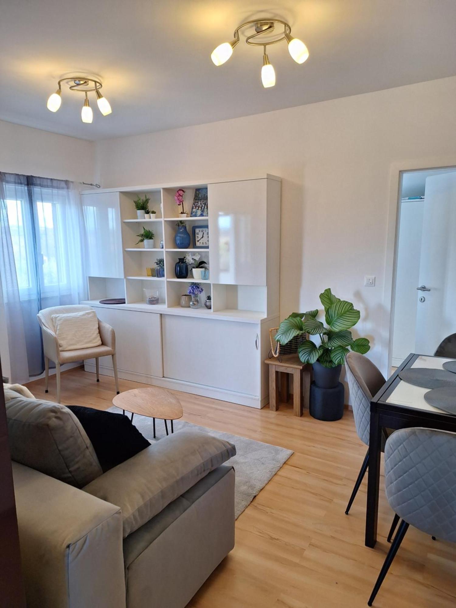 Apartment Dorina Buje Exteriör bild