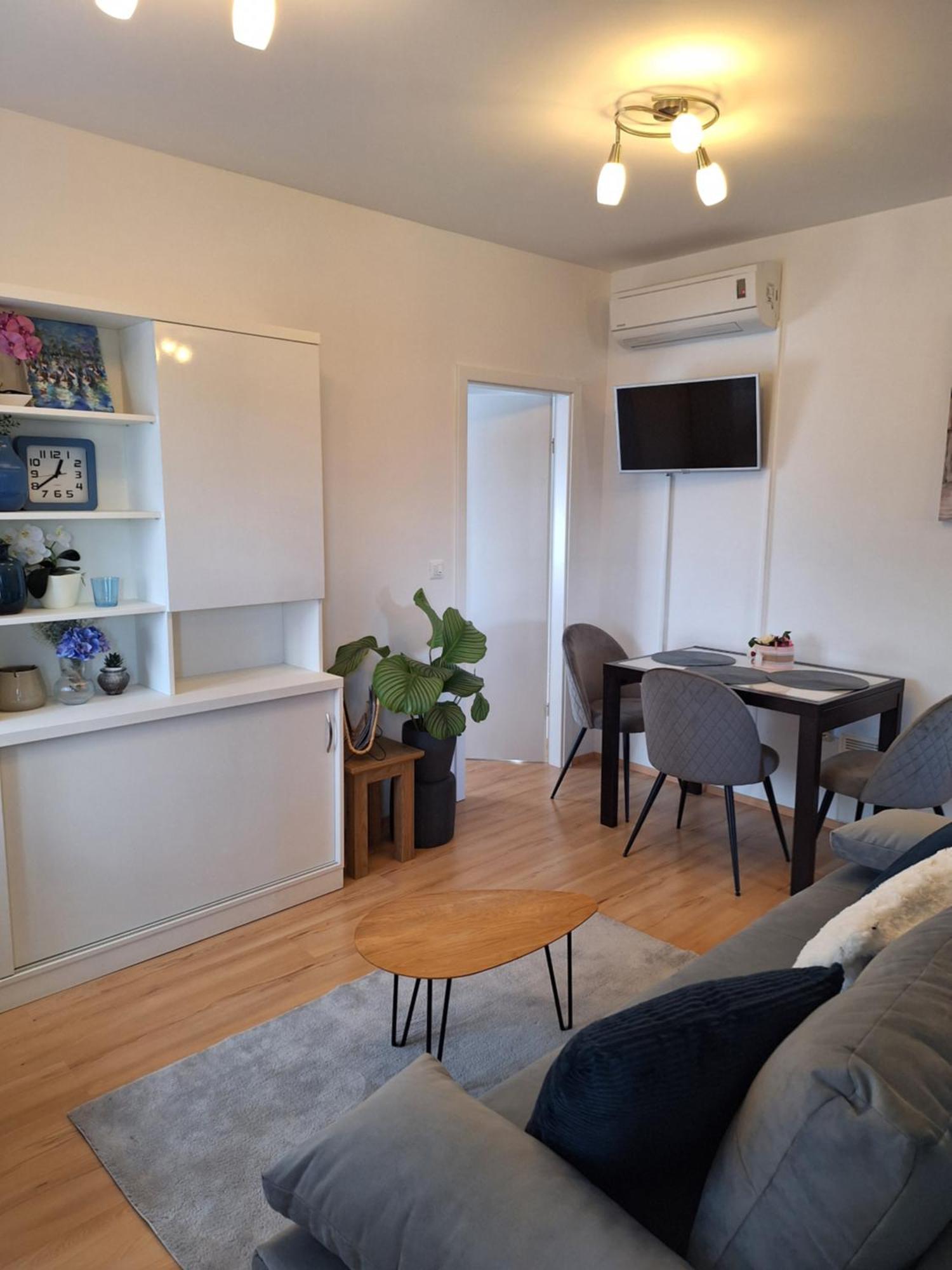 Apartment Dorina Buje Exteriör bild