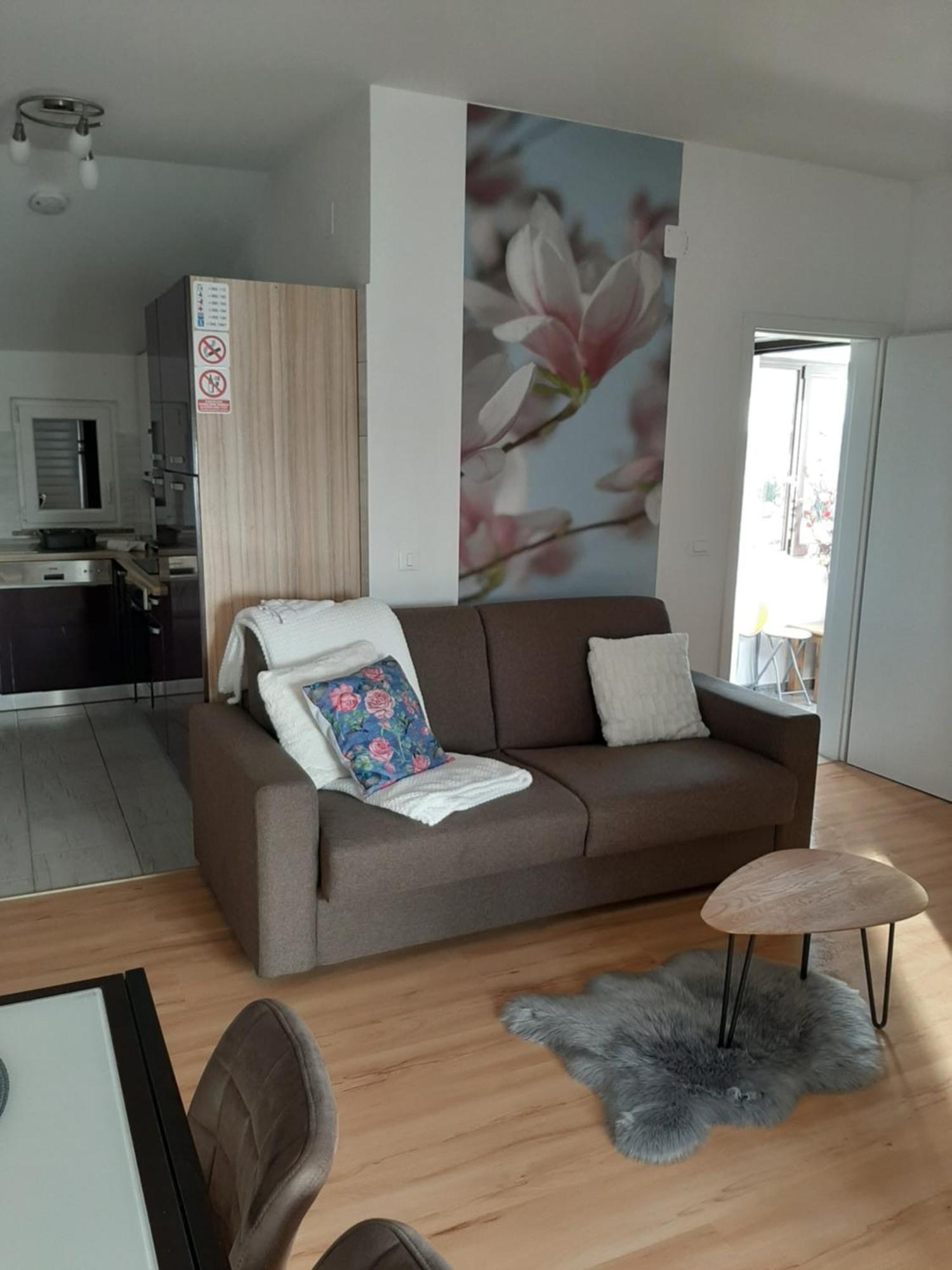 Apartment Dorina Buje Rum bild