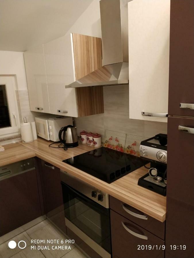 Apartment Dorina Buje Exteriör bild
