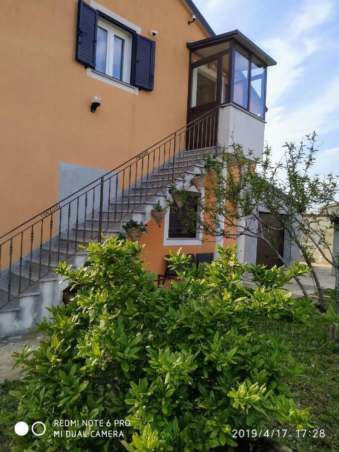 Apartment Dorina Buje Exteriör bild