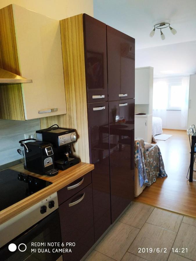 Apartment Dorina Buje Exteriör bild